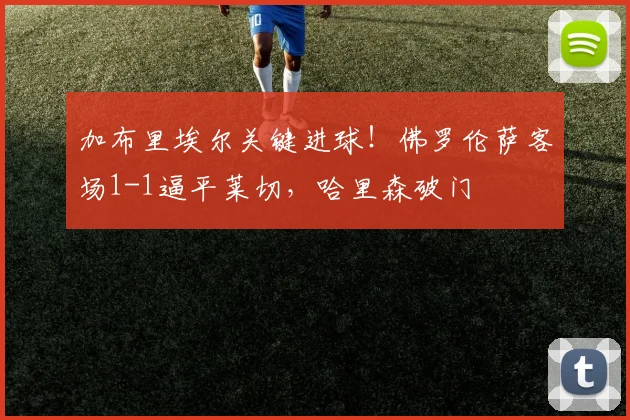 加布里埃尔关键进球！佛罗伦萨客场1-1逼平莱切，哈里森破门